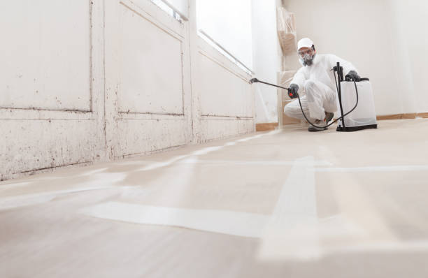 24/7 Emergency Mold Cleanup experts in Capron, IL